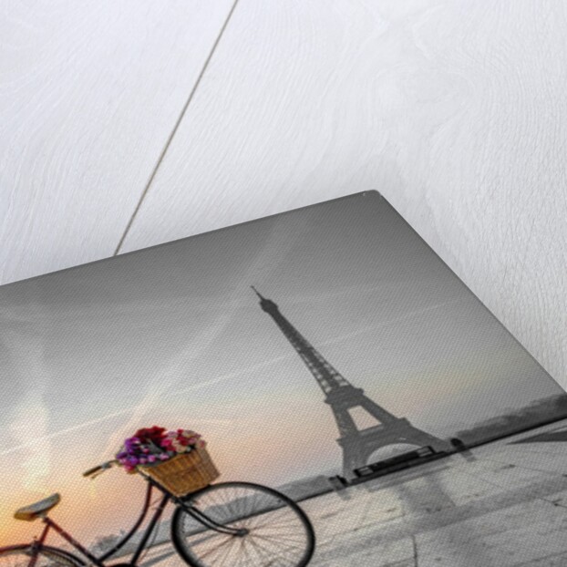Bicycle and Eiffel tower by Assaf Frank